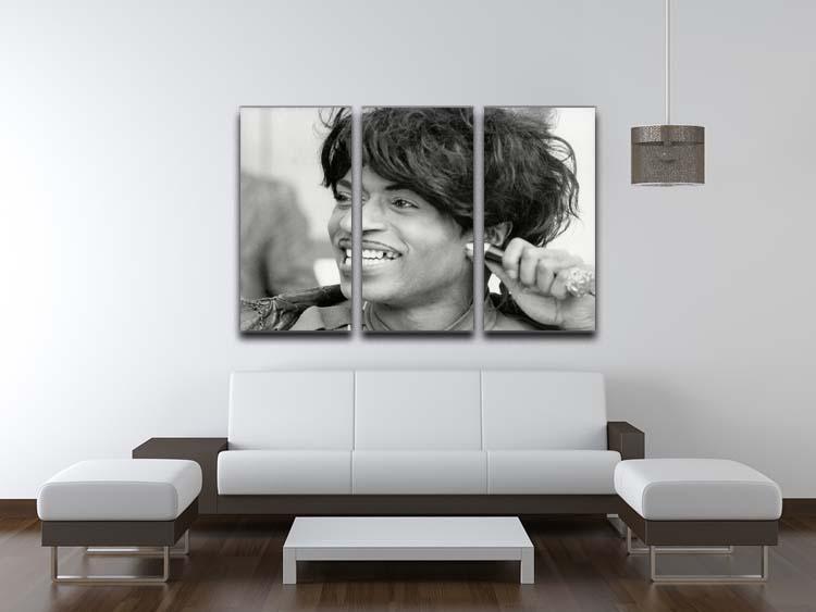 Little Richard smiles 3 Split Panel Canvas Print - Canvas Art Rocks - 3