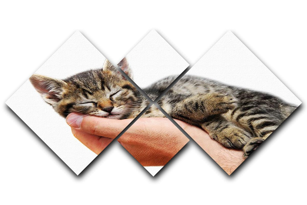Little baby cat sleeping in male arms 4 Square Multi Panel Canvas - Canvas Art Rocks - 1