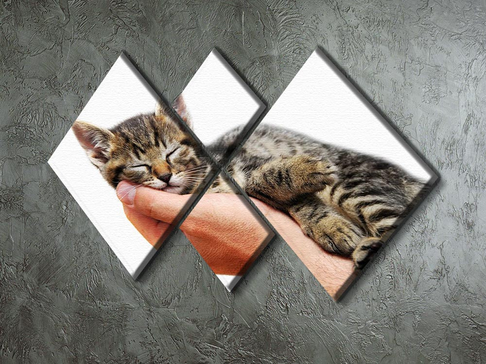 Little baby cat sleeping in male arms 4 Square Multi Panel Canvas - Canvas Art Rocks - 2