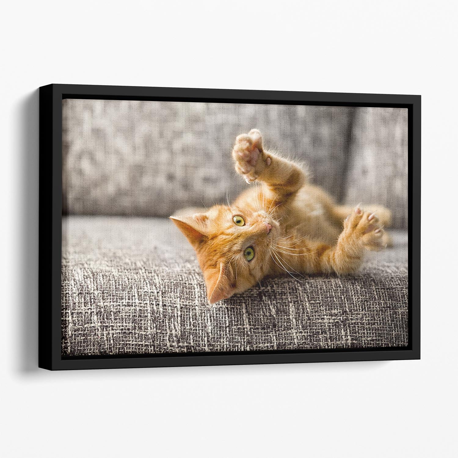 Little cat playing on the bed Floating Framed Canvas - Canvas Art Rocks - 1