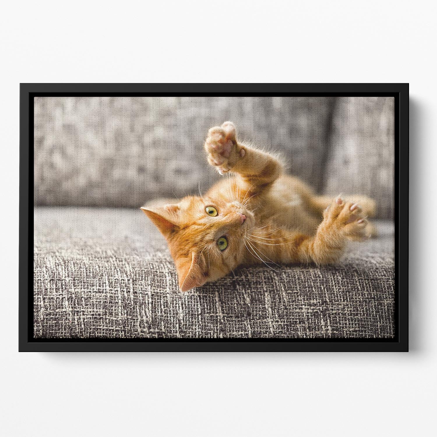 Little cat playing on the bed Floating Framed Canvas - Canvas Art Rocks - 2