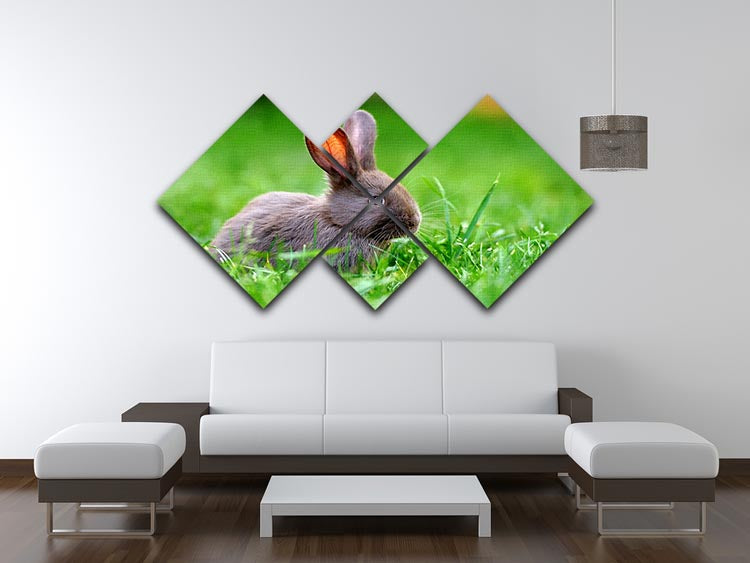 Little rabbit on green grass 4 Square Multi Panel Canvas - Canvas Art Rocks - 3