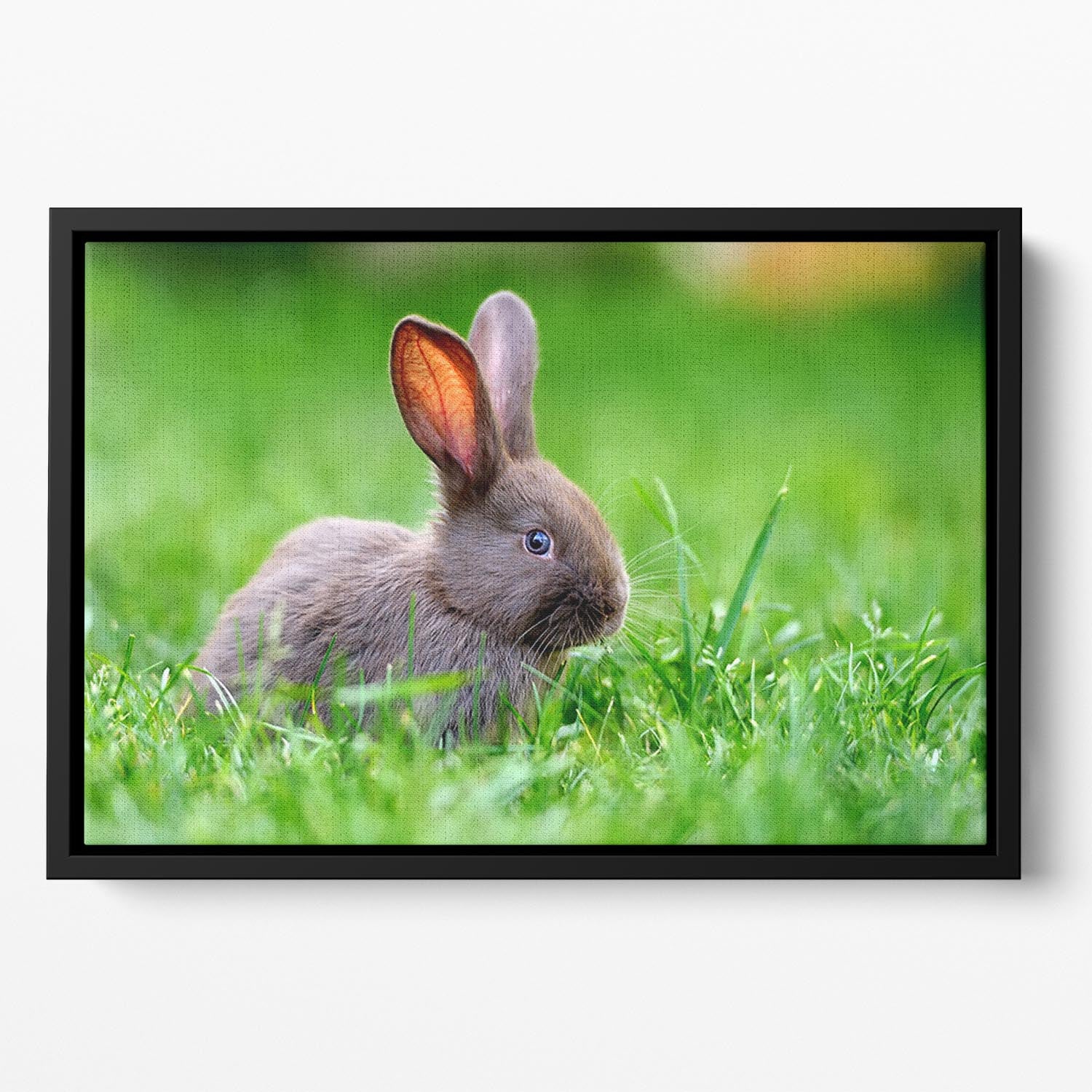 Little rabbit on green grass Floating Framed Canvas - Canvas Art Rocks - 2