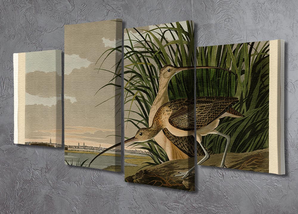 Long billed Curlew by Audubon 4 Split Panel Canvas - Canvas Art Rocks - 2