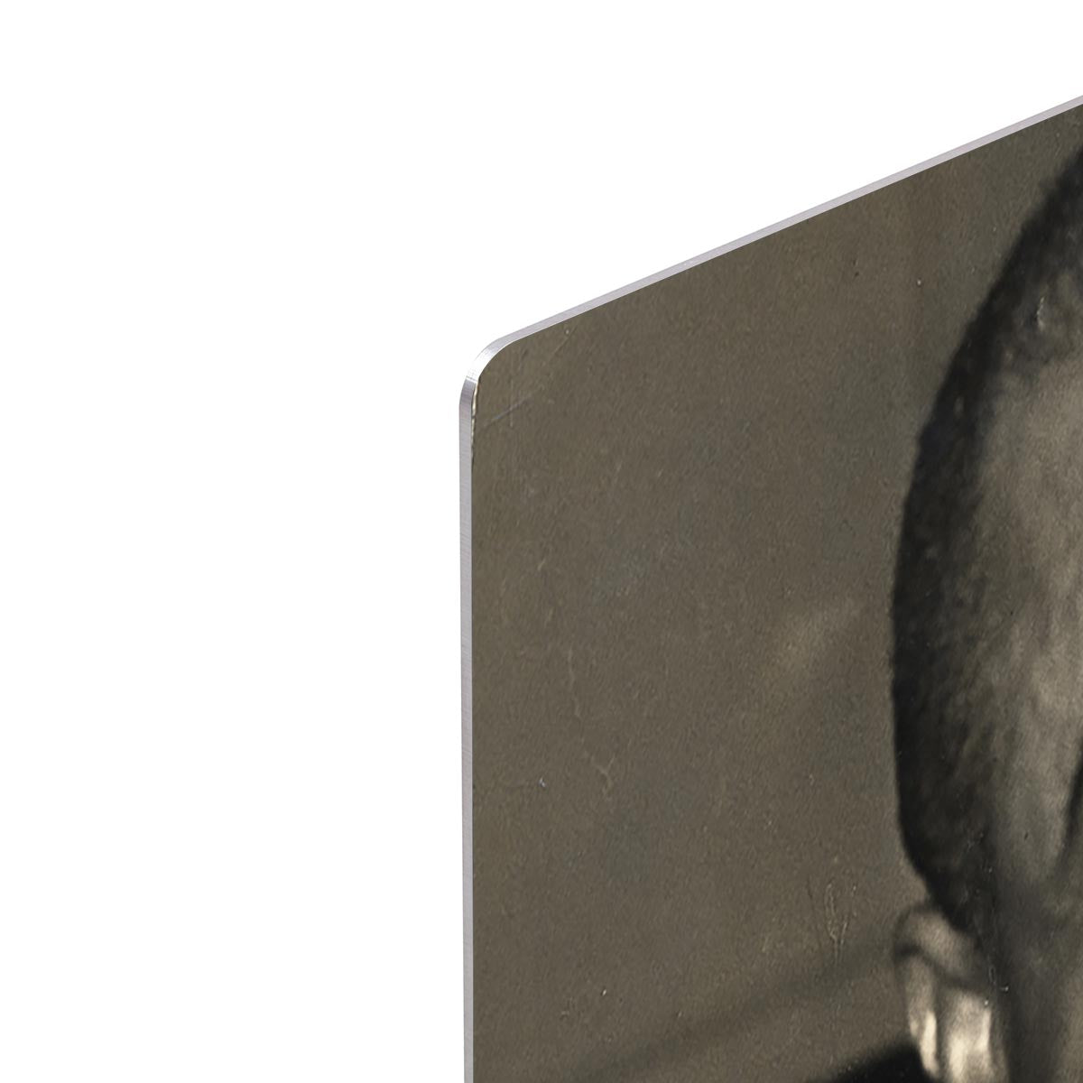 Louis Armstrong laughs HD Metal Print