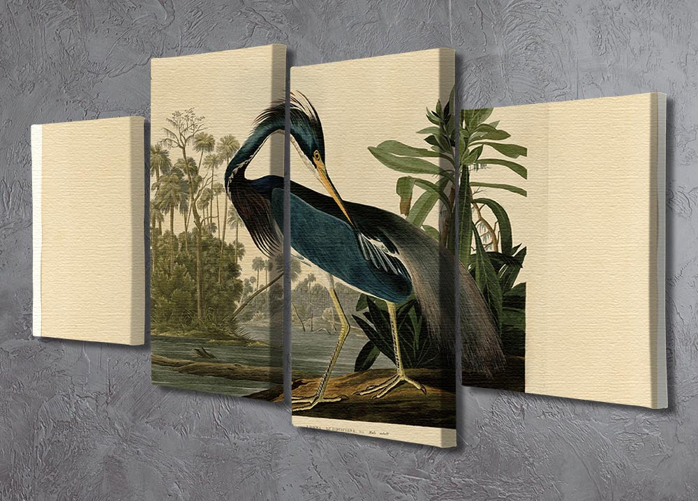 Louisiana Heron by Audubon 4 Split Panel Canvas - Canvas Art Rocks - 2