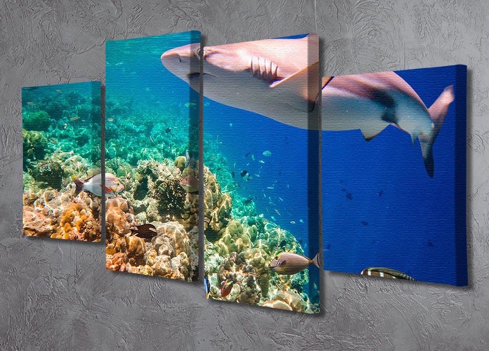 Maldives Indian Ocean coral reef 4 Split Panel Canvas  - Canvas Art Rocks - 2