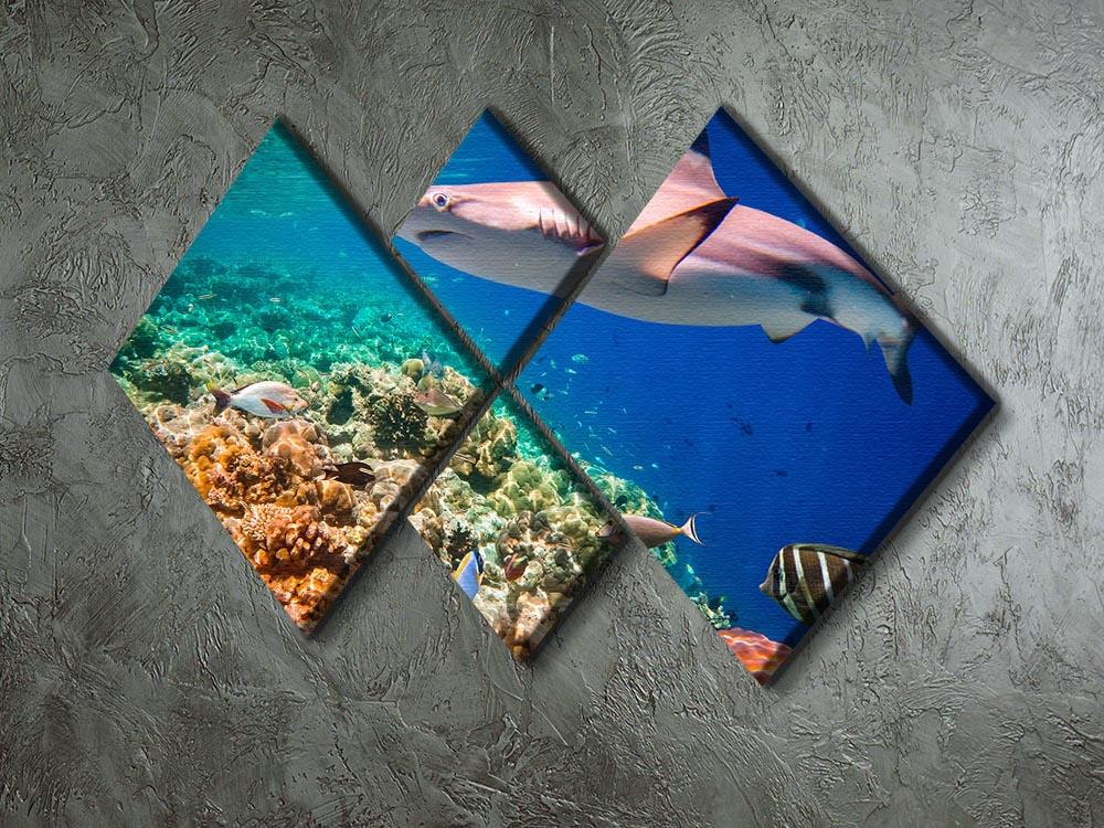 Maldives Indian Ocean coral reef 4 Square Multi Panel Canvas  - Canvas Art Rocks - 2