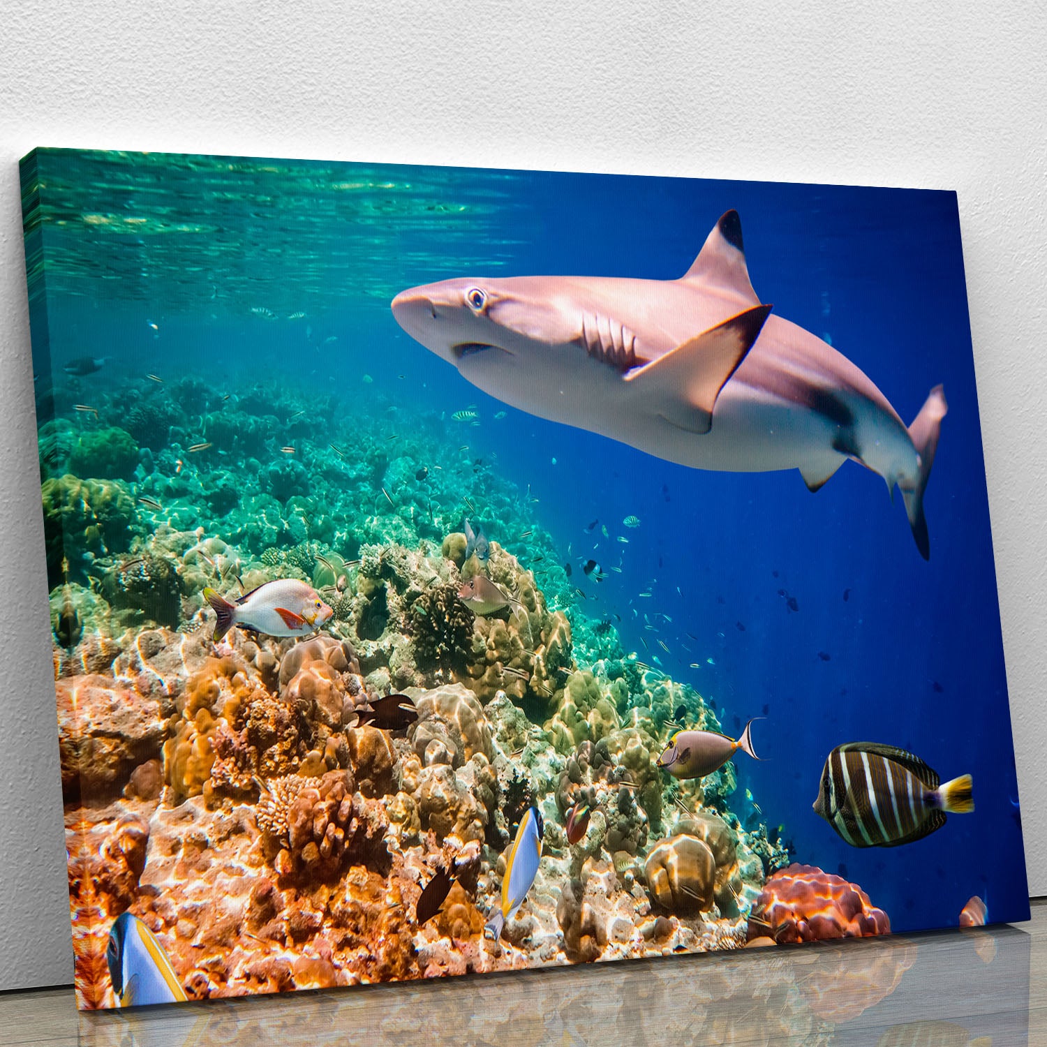 Maldives Indian Ocean coral reef Canvas Print or Poster - Canvas Art Rocks - 1