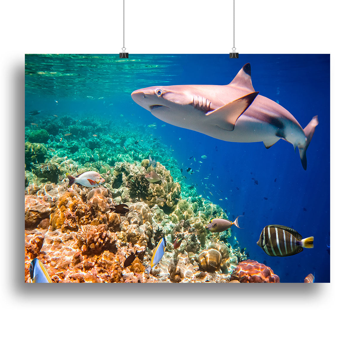 Maldives Indian Ocean coral reef Canvas Print or Poster - Canvas Art Rocks - 2