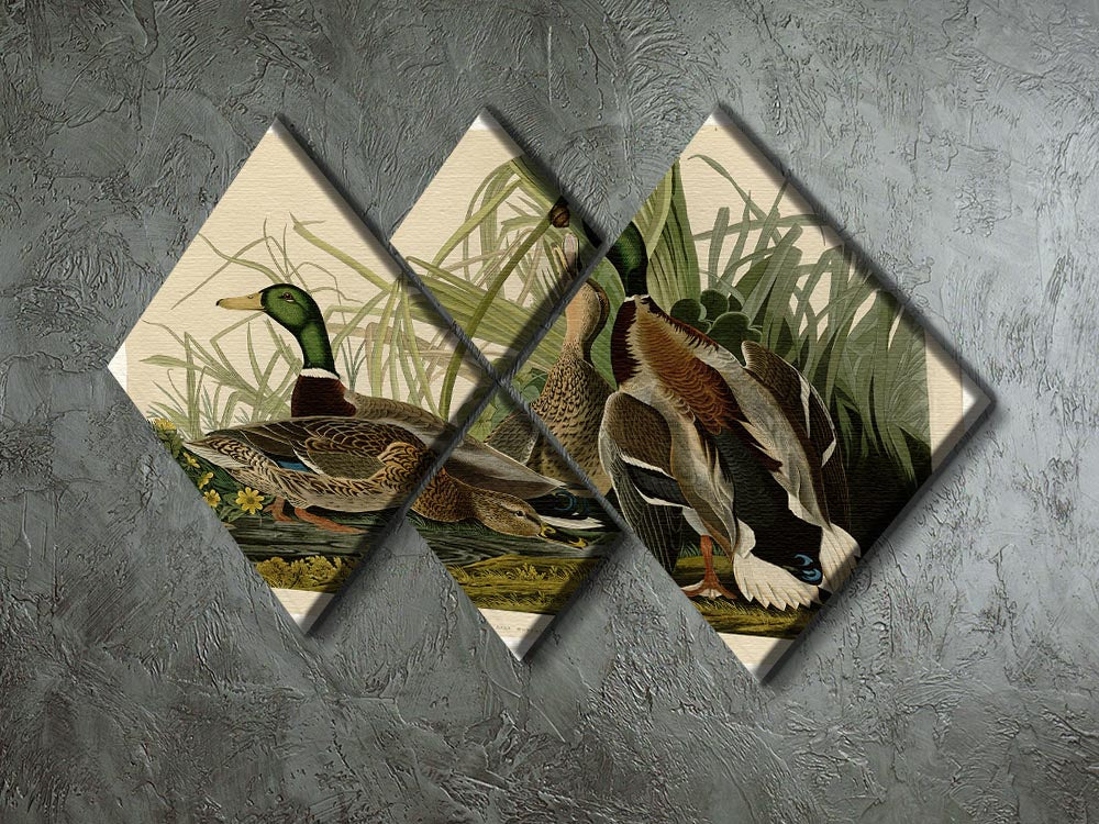 Mallard Duck by Audubon 4 Square Multi Panel Canvas - Canvas Art Rocks - 2