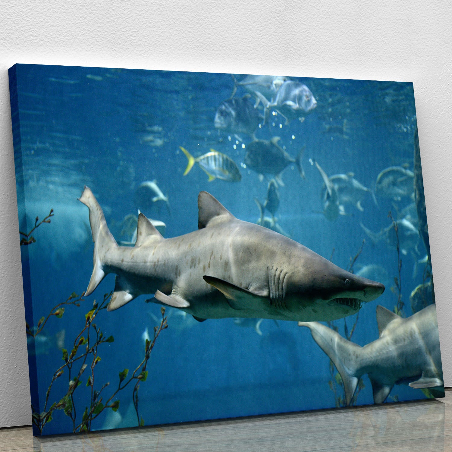 Marine fish underwater Canvas Print or Poster - Canvas Art Rocks - 1