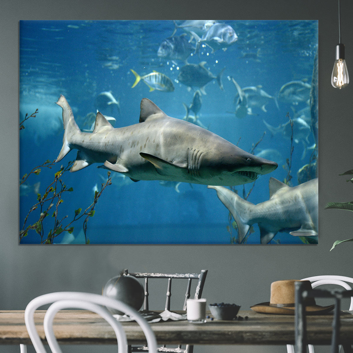 Marine fish underwater Canvas Print or Poster - Canvas Art Rocks - 3
