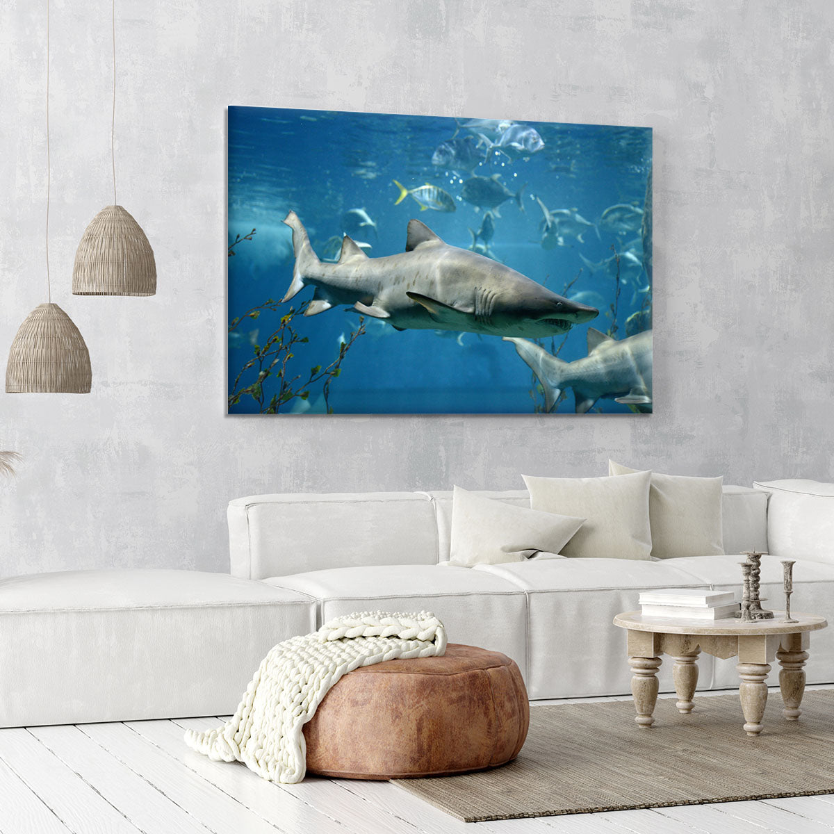 Marine fish underwater Canvas Print or Poster - Canvas Art Rocks - 6