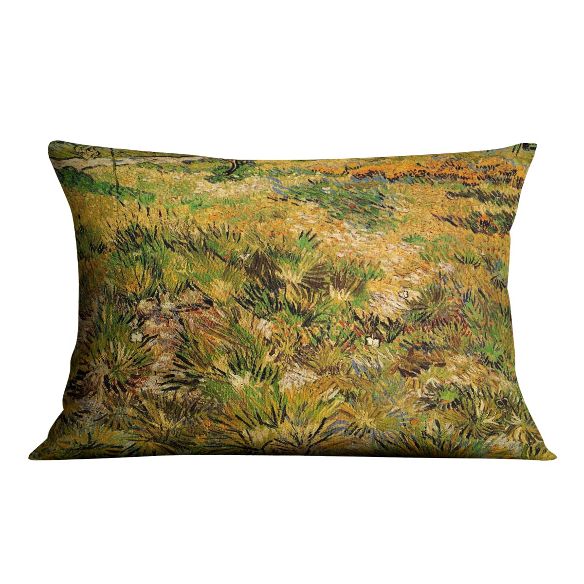 Meadow in the Garden of Saint-Paul Hospital by Van Gogh Cushion