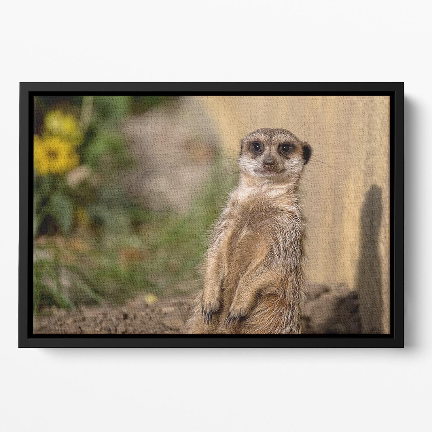 Meerkat in the wild portrait Floating Framed Canvas - Canvas Art Rocks - 2