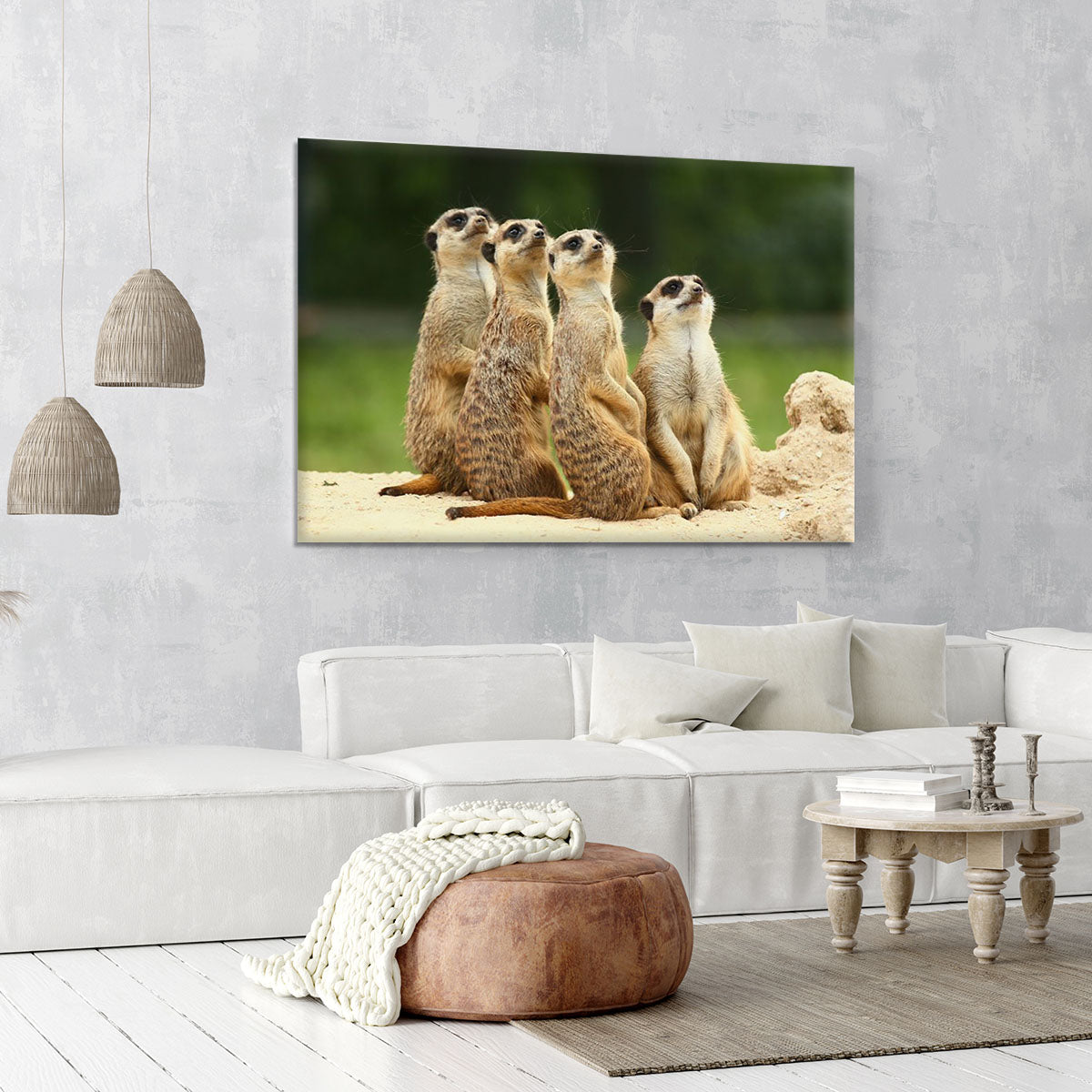 Meerkats Suricata all sit together Canvas Print or Poster - Canvas Art Rocks - 6