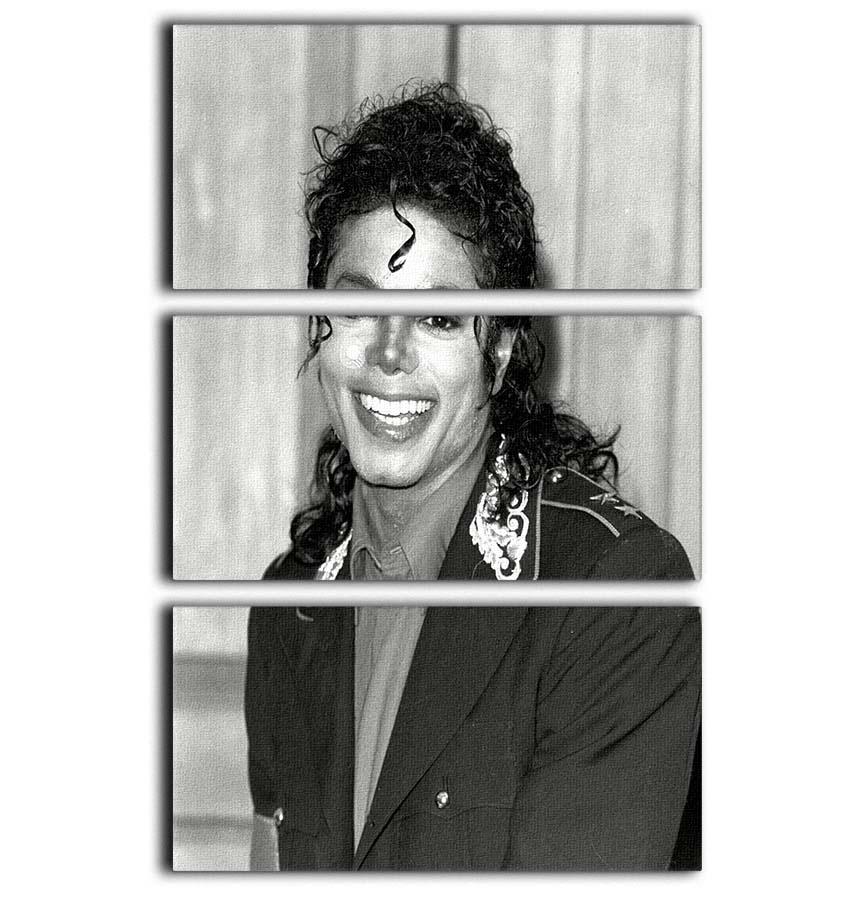 Michael Jackson smiles 3 Split Panel Canvas Print - Canvas Art Rocks - 1