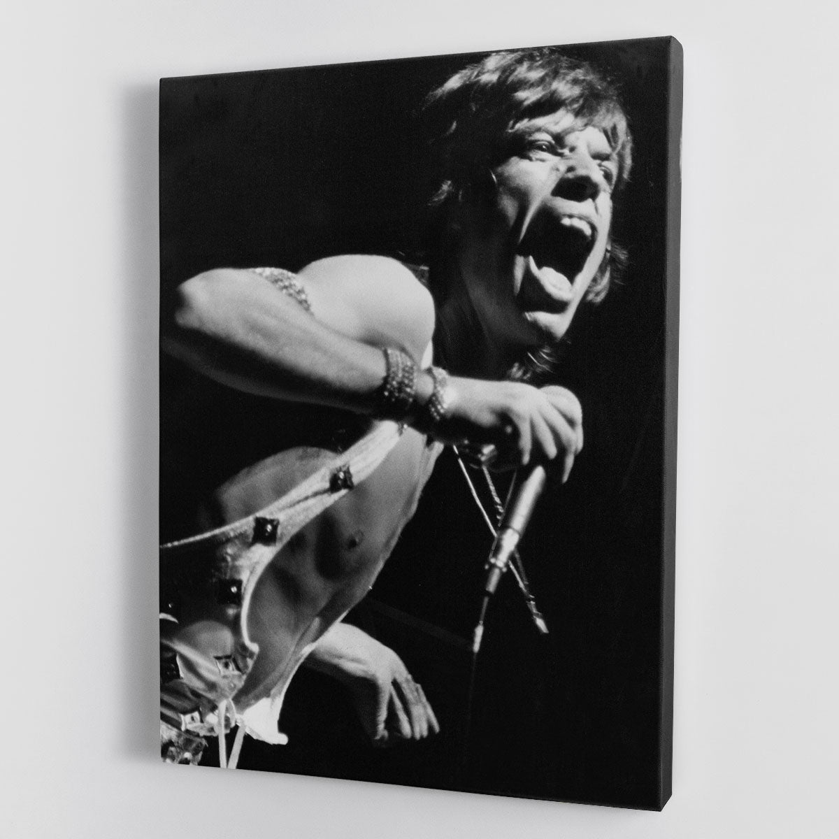 Mick Jagger performs in Vienna Canvas Print or Poster - Canvas Art Rocks - 1