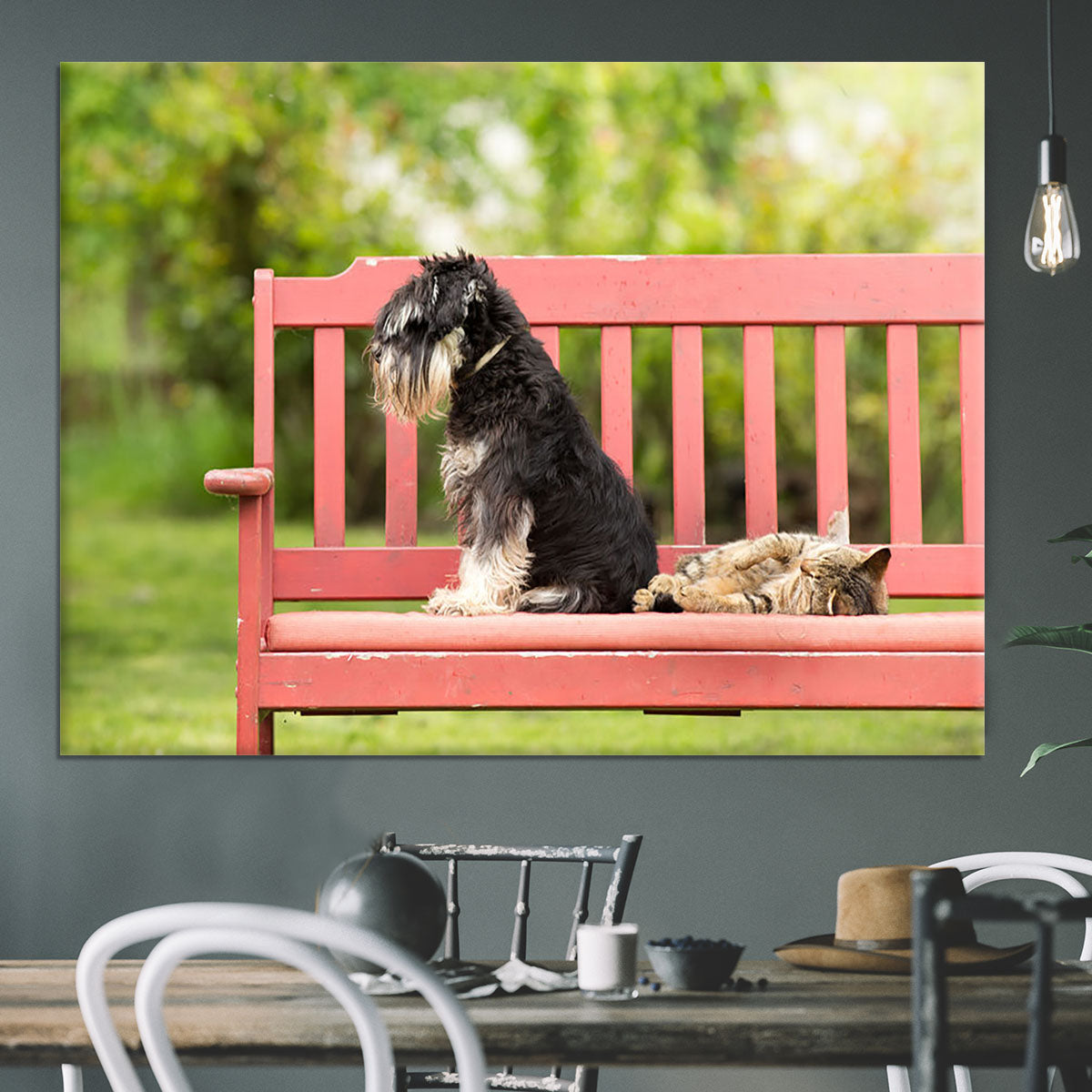 Miniature schnauzer turned back to its cat friend Canvas Print or Poster - Canvas Art Rocks - 3