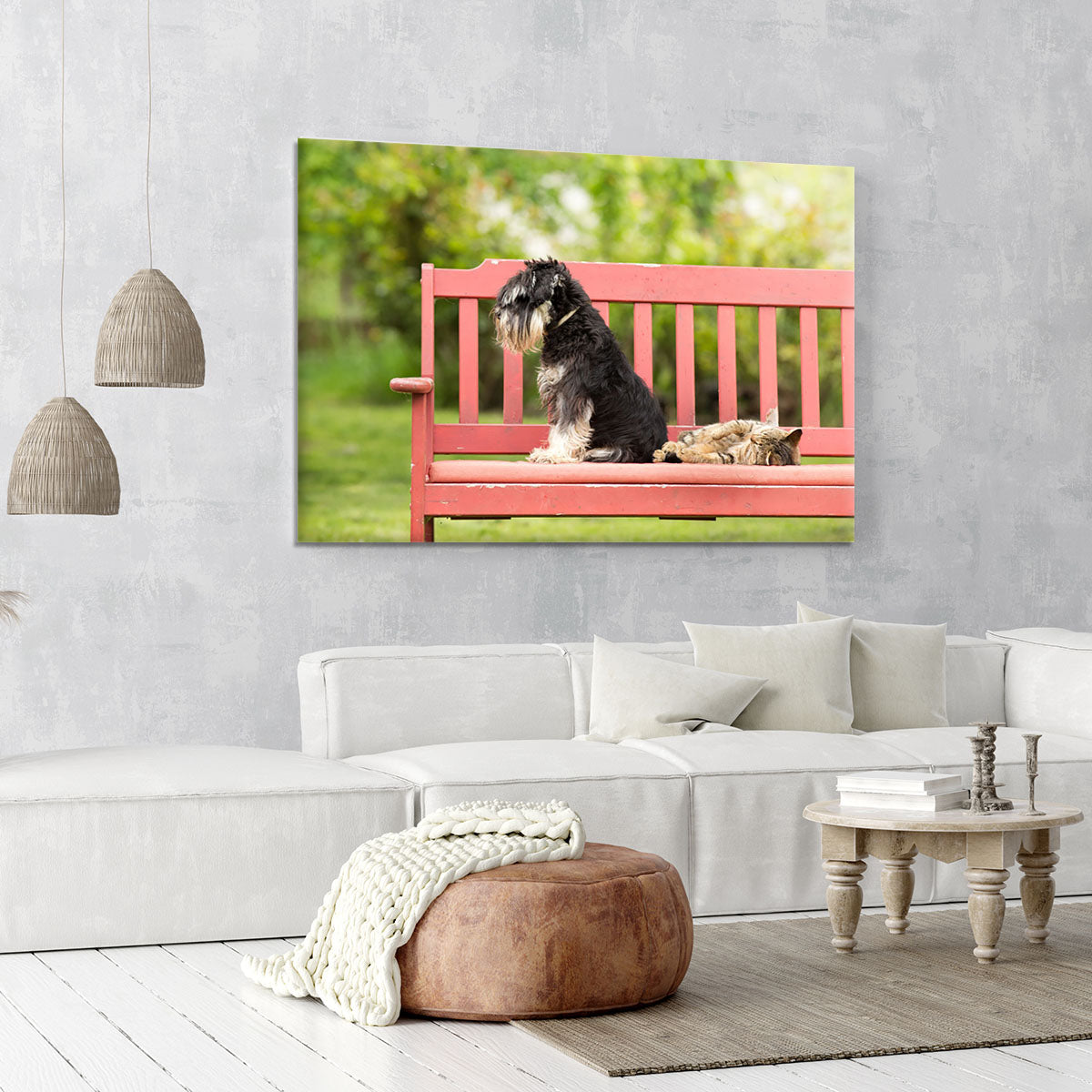 Miniature schnauzer turned back to its cat friend Canvas Print or Poster - Canvas Art Rocks - 6