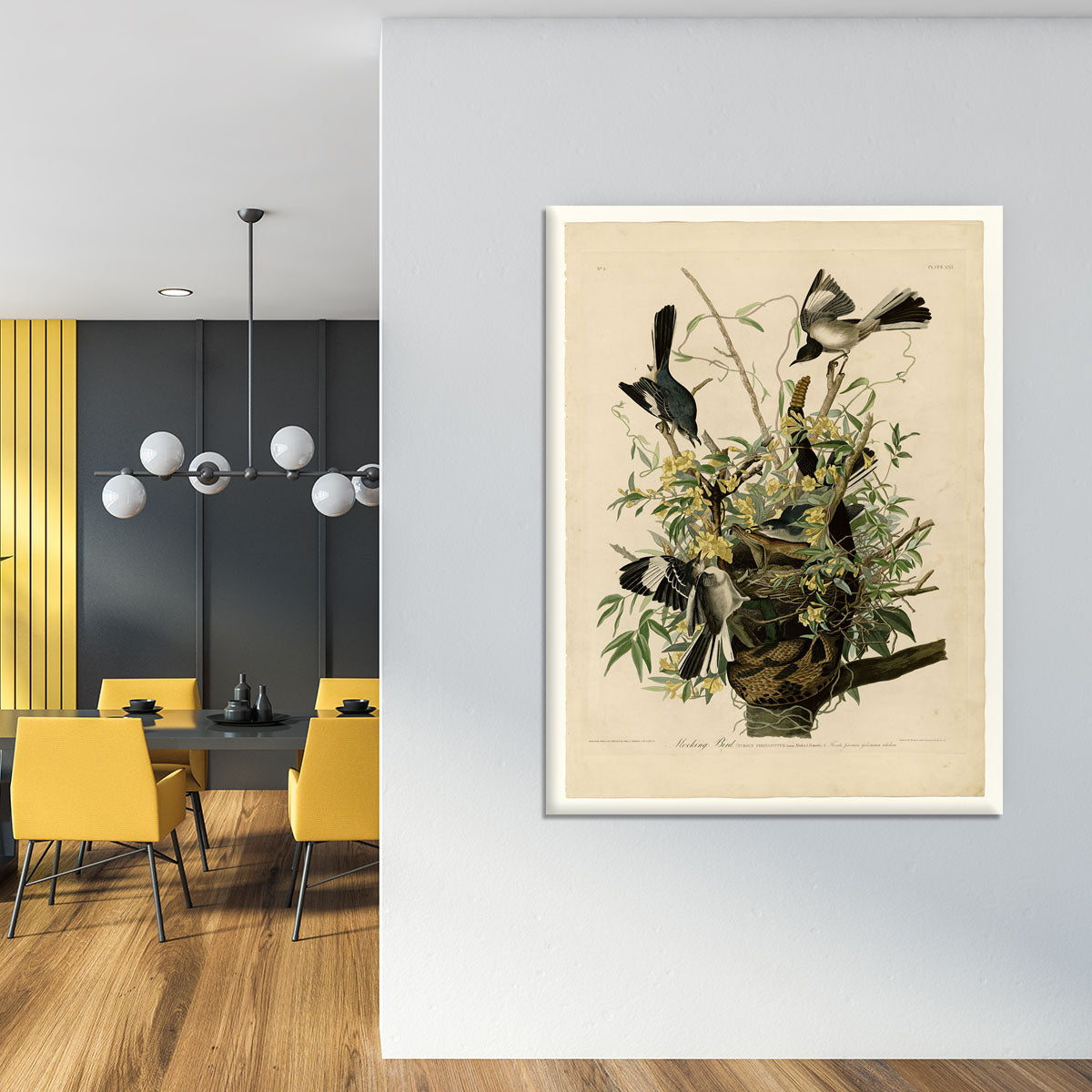Mocking Bird by Audubon Canvas Print or Poster - Canvas Art Rocks - 4