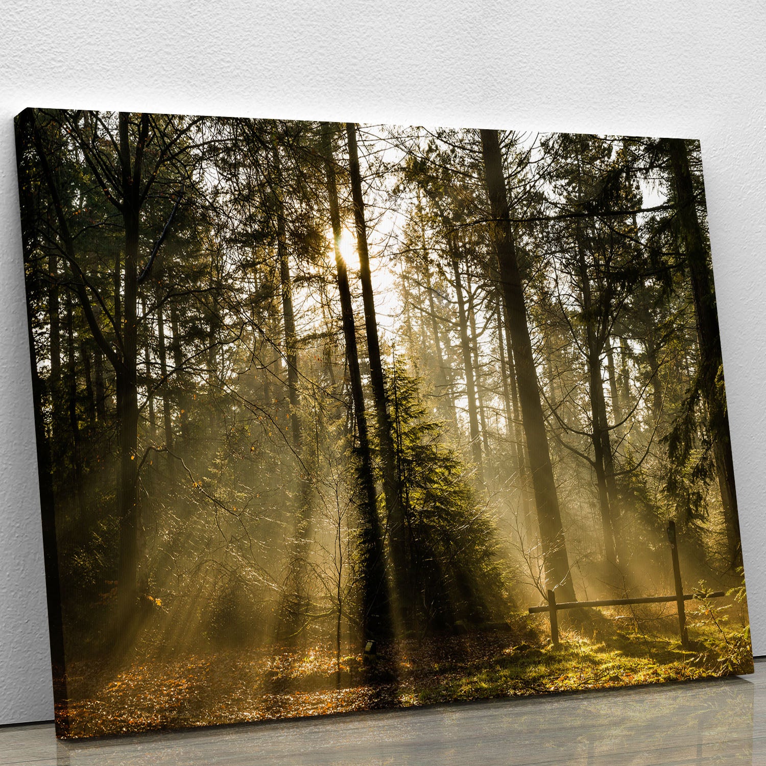 Morning sun in the forrest Canvas Print or Poster - Canvas Art Rocks - 1