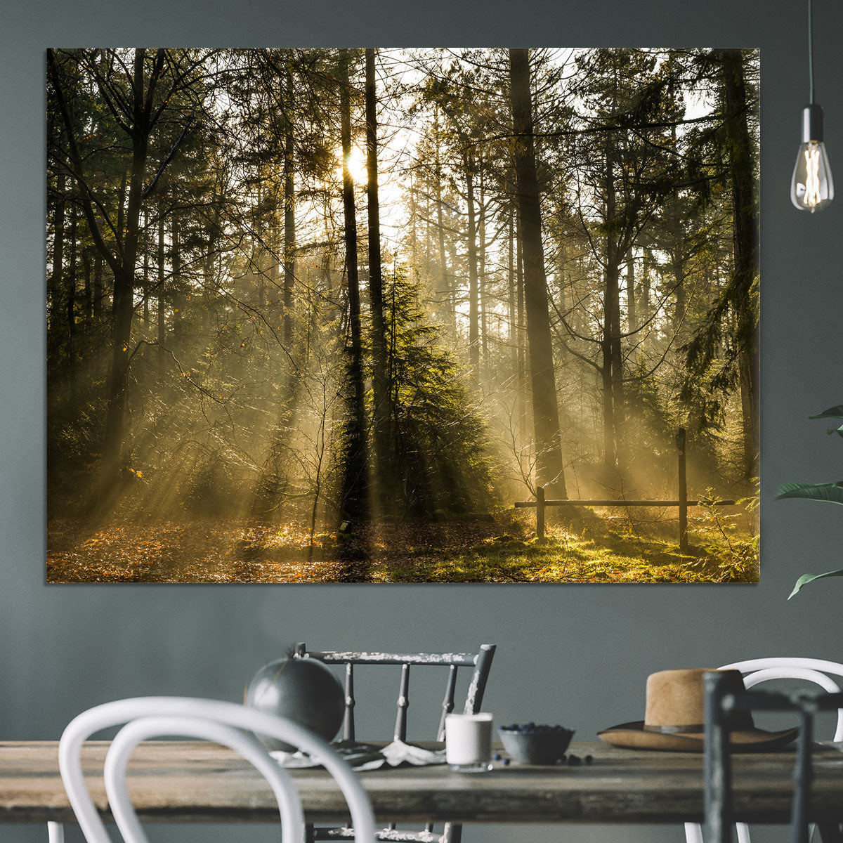 Morning sun in the forrest Canvas Print or Poster - Canvas Art Rocks - 3