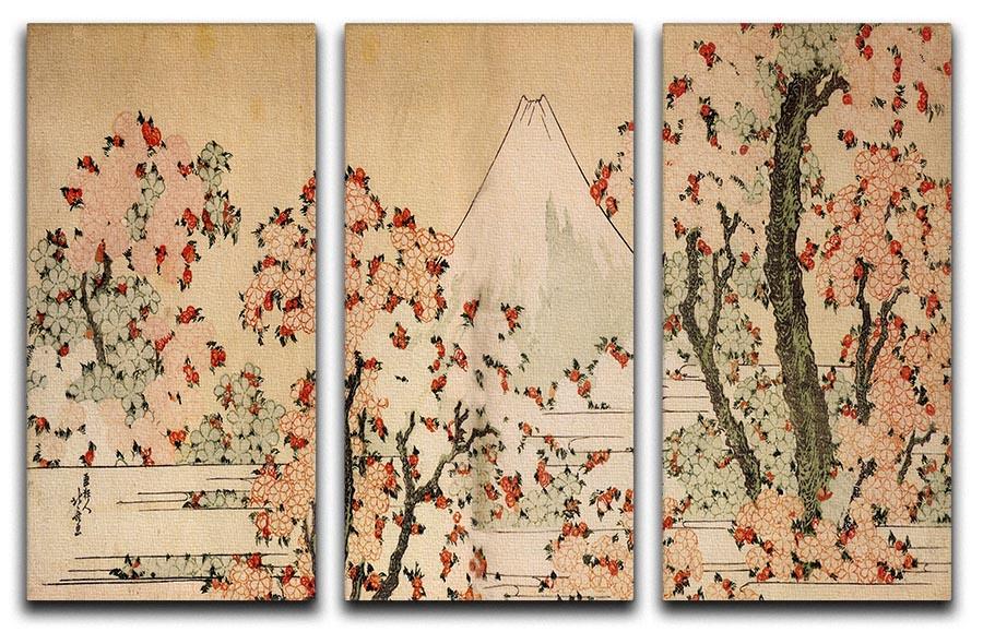 Mount Fuji behind cherry trees and flowers by Hokusai 3 Split Panel Canvas Print - Canvas Art Rocks - 1