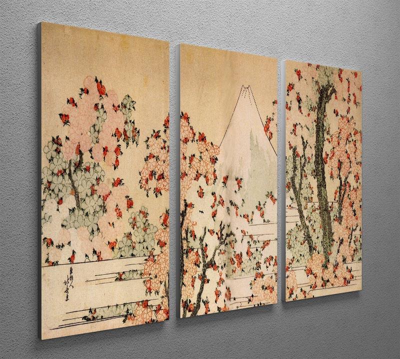 Mount Fuji behind cherry trees and flowers by Hokusai 3 Split Panel Canvas Print - Canvas Art Rocks - 2