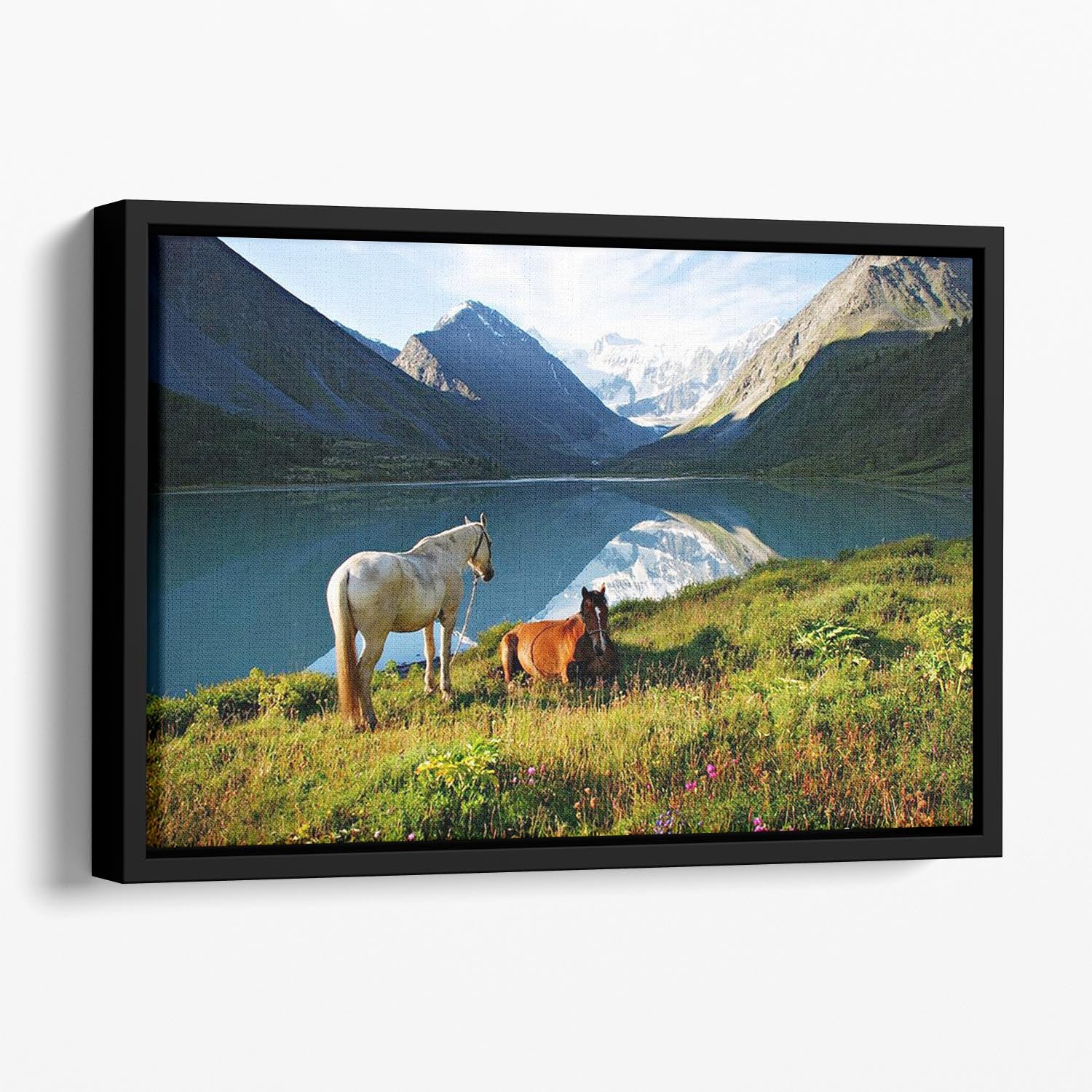 Mountain pasture horses Floating Framed Canvas - Canvas Art Rocks - 1