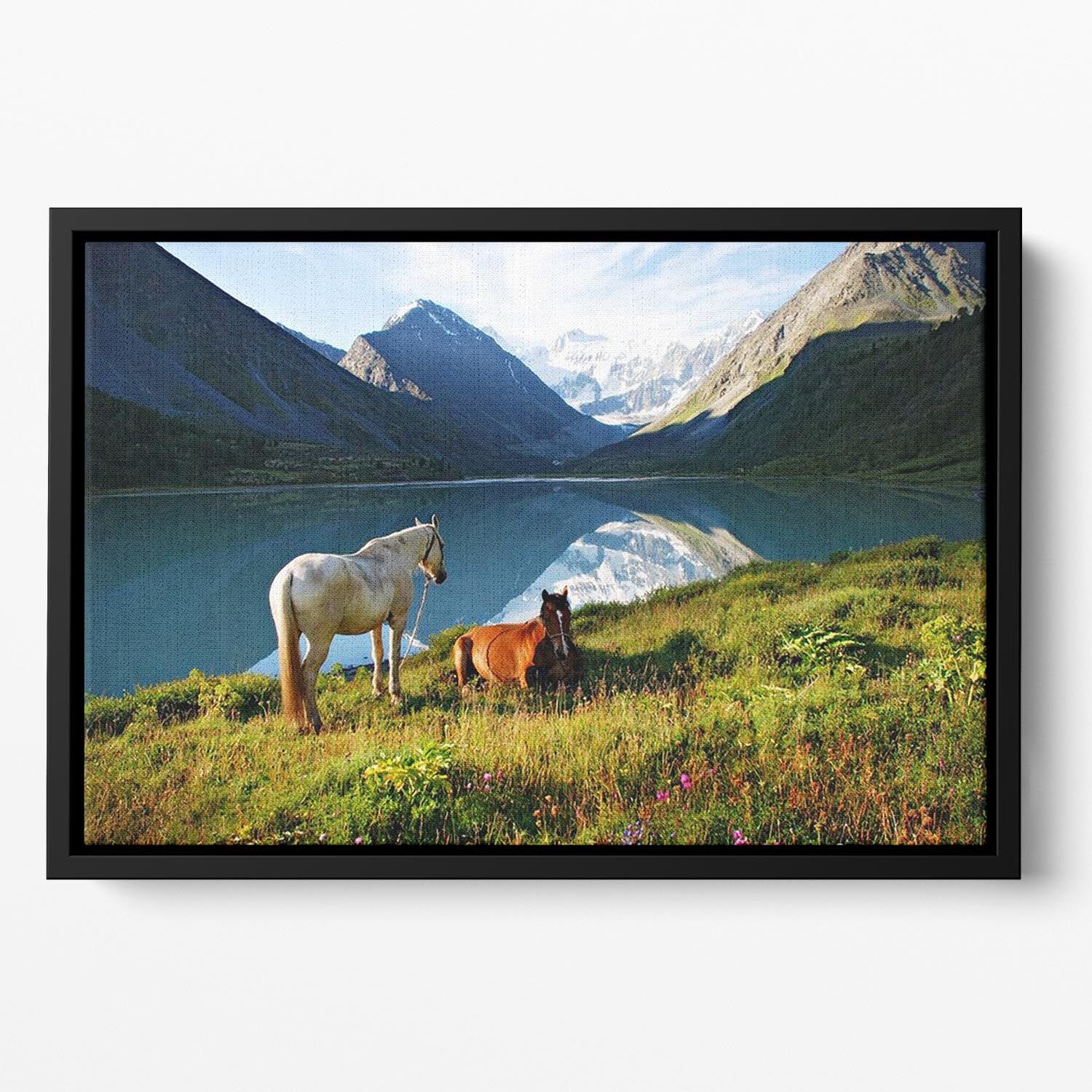 Mountain pasture horses Floating Framed Canvas - Canvas Art Rocks - 2