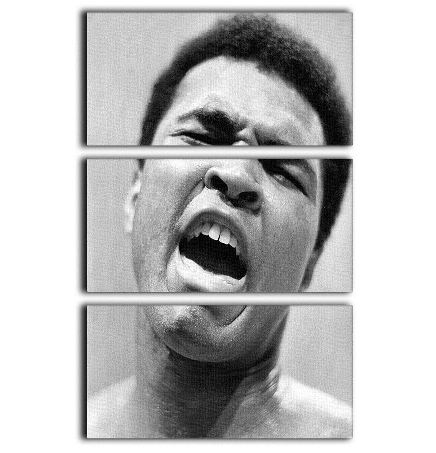 Muhammad Ali shouts 3 Split Panel Canvas Print - Canvas Art Rocks - 1
