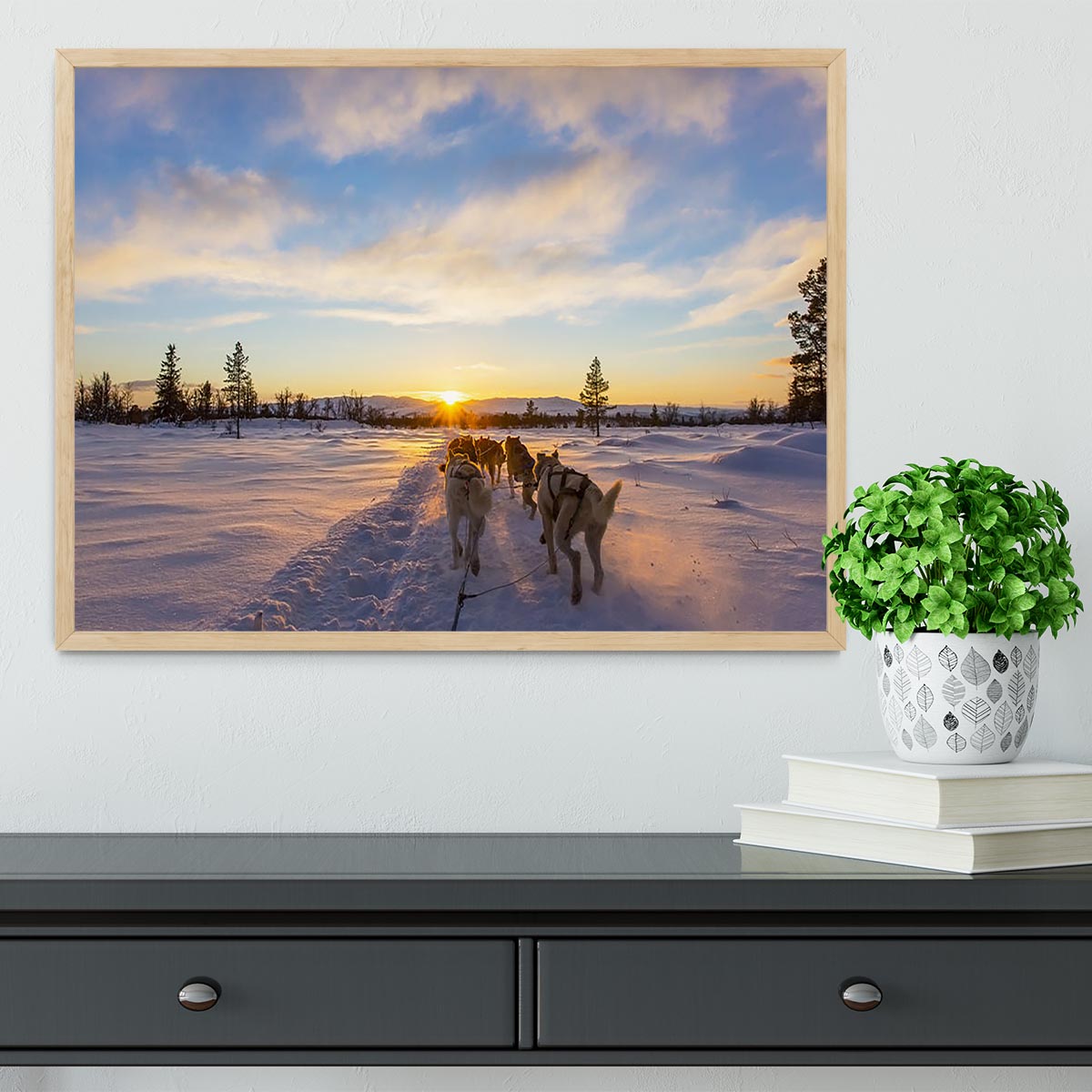 Musher and passenger in a dog sleigh with huskies a cold winter evening Framed Print - Canvas Art Rocks - 4