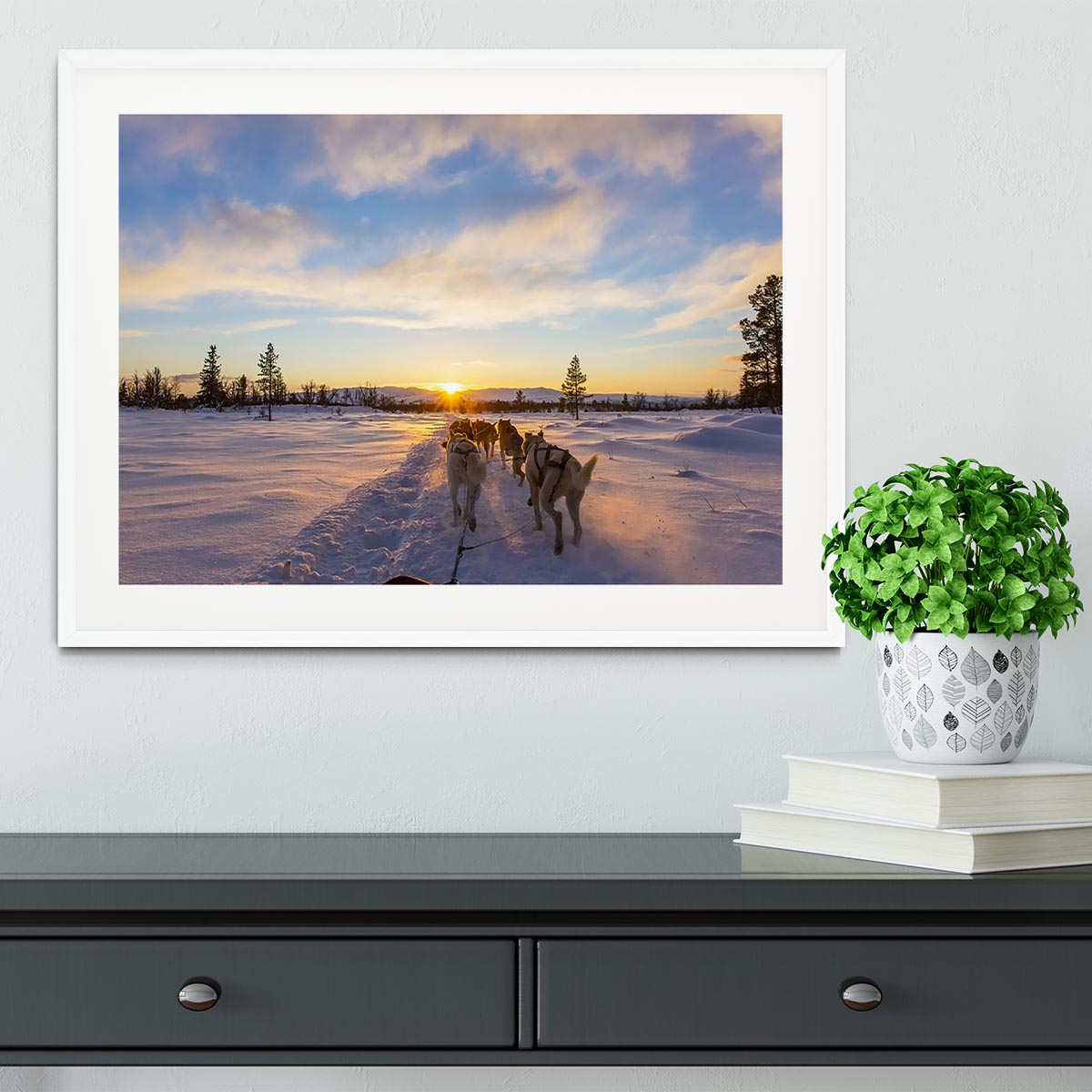 Musher and passenger in a dog sleigh with huskies a cold winter evening Framed Print - Canvas Art Rocks - 5