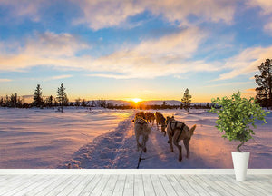 Musher and passenger in a dog sleigh with huskies a cold winter evening Wall Mural Wallpaper - Canvas Art Rocks - 4