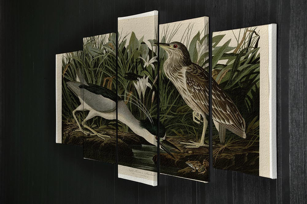 Night Heron by Audubon 5 Split Panel Canvas - Canvas Art Rocks - 2