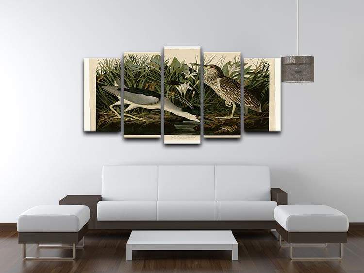 Night Heron by Audubon 5 Split Panel Canvas - Canvas Art Rocks - 3