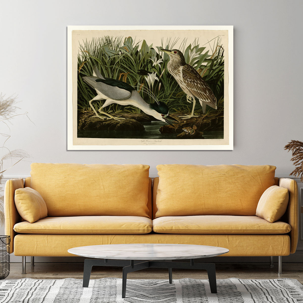 Night Heron by Audubon Canvas Print or Poster - Canvas Art Rocks - 4