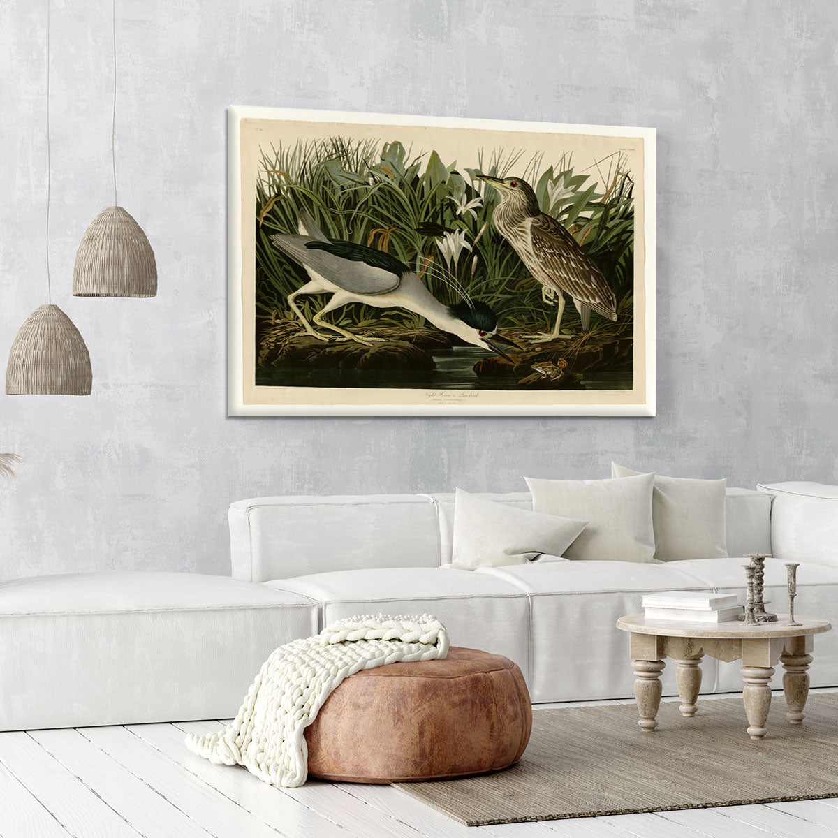 Night Heron by Audubon Canvas Print or Poster - Canvas Art Rocks - 6