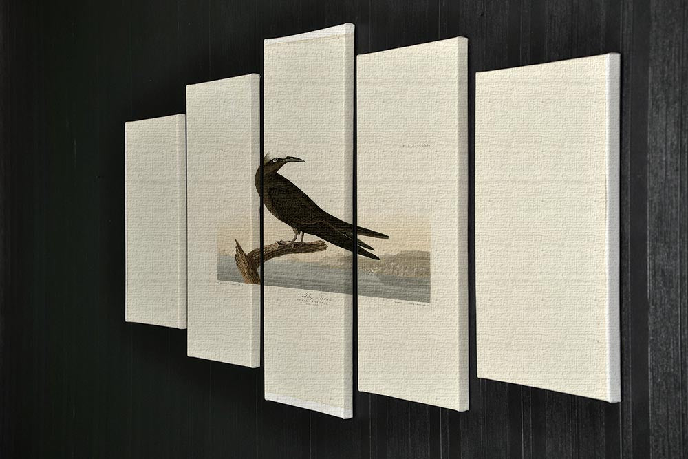 Noddy Tern by Audubon 5 Split Panel Canvas - Canvas Art Rocks - 2