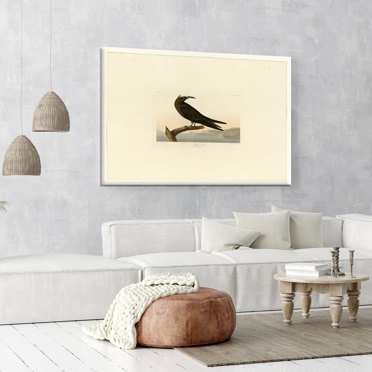 Noddy Tern by Audubon Canvas Print or Poster - Canvas Art Rocks - 6