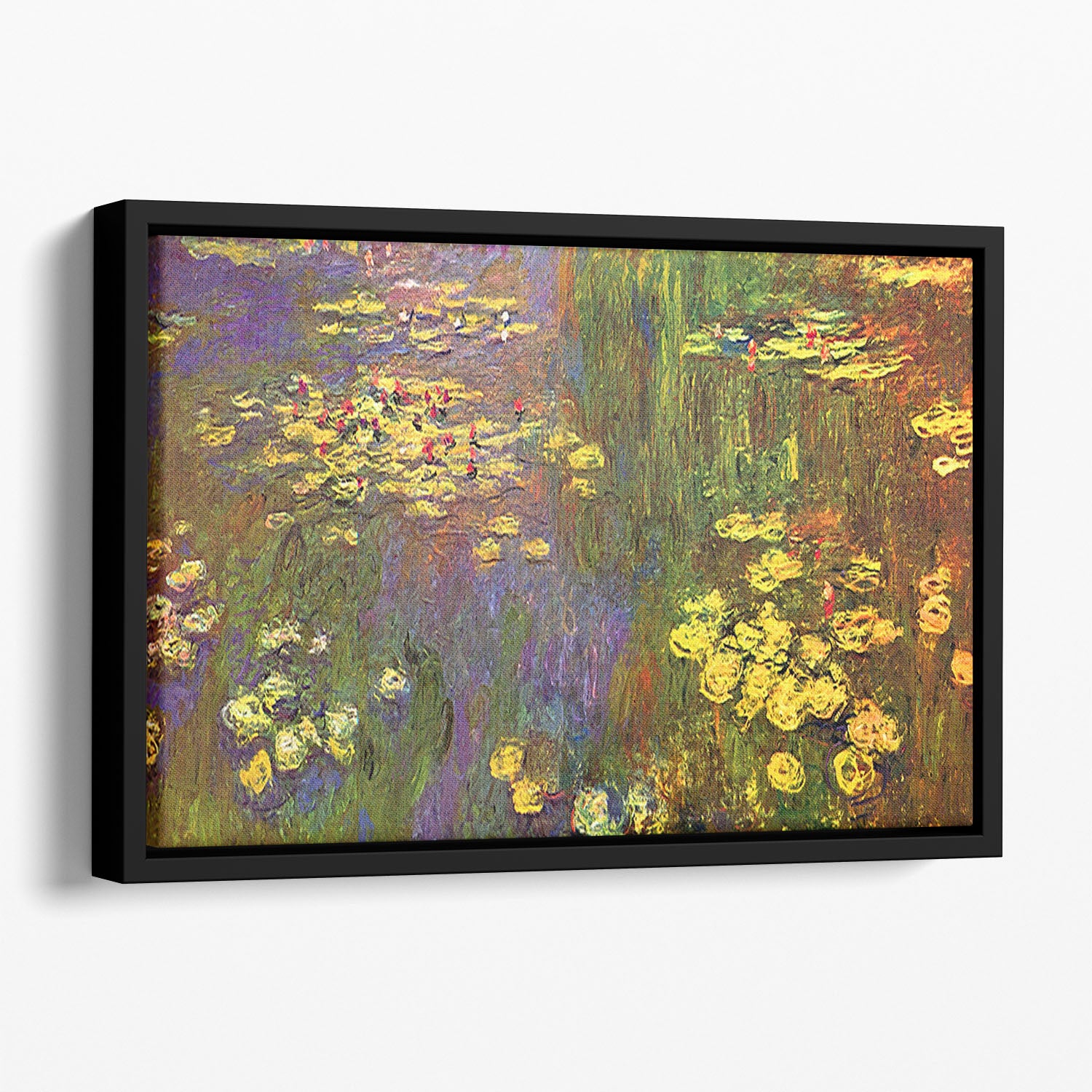 Nympheas water plantes by Monet Floating Framed Canvas