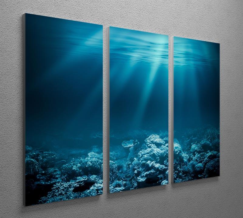 Ocean underwater with coral reef 3 Split Panel Canvas Print - Canvas Art Rocks - 2