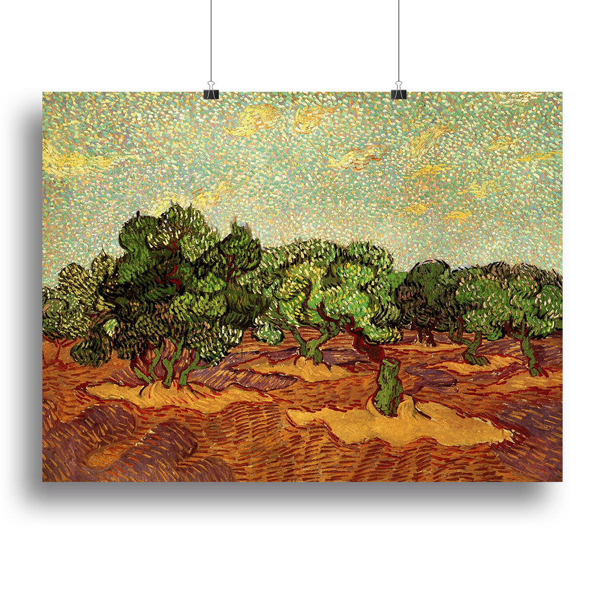 Olive Grove Pale Blue Sky by Van Gogh Canvas Print or Poster - Canvas Art Rocks - 2