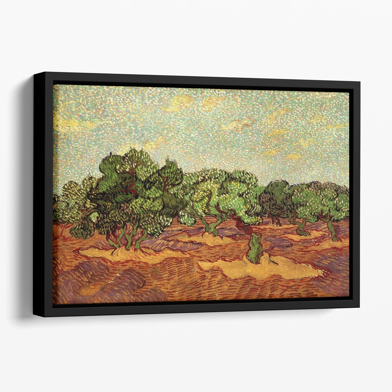 Olive Grove Pale Blue Sky by Van Gogh Floating Framed Canvas