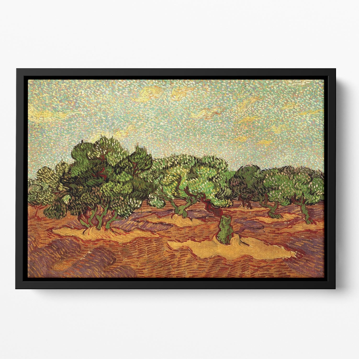 Olive Grove Pale Blue Sky by Van Gogh Floating Framed Canvas
