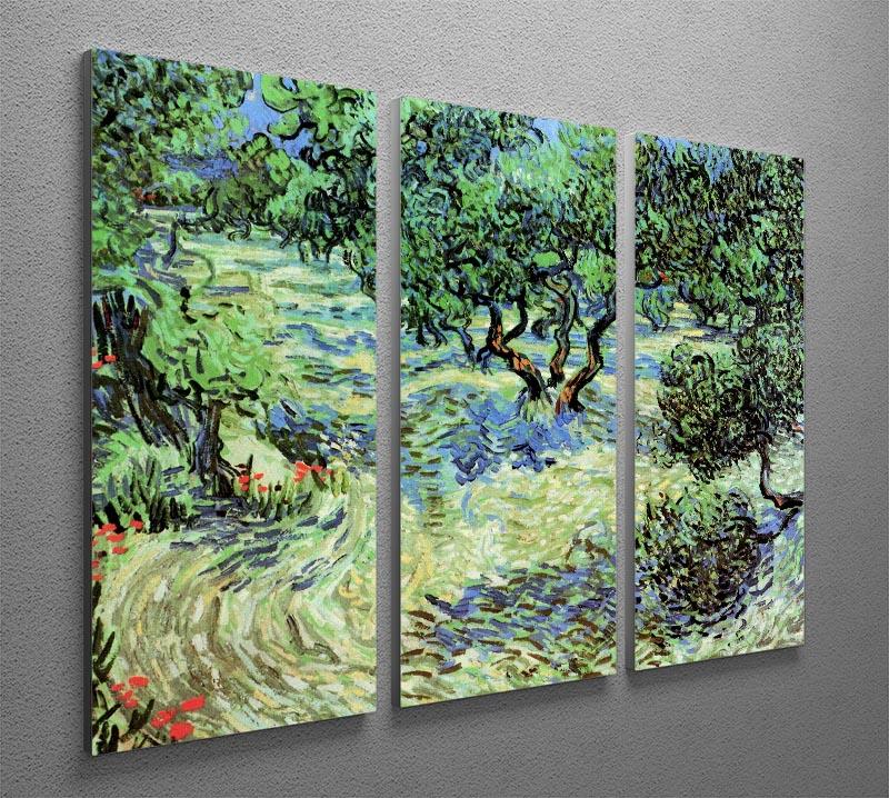 Olive Grove by Van Gogh 3 Split Panel Canvas Print - Canvas Art Rocks - 4