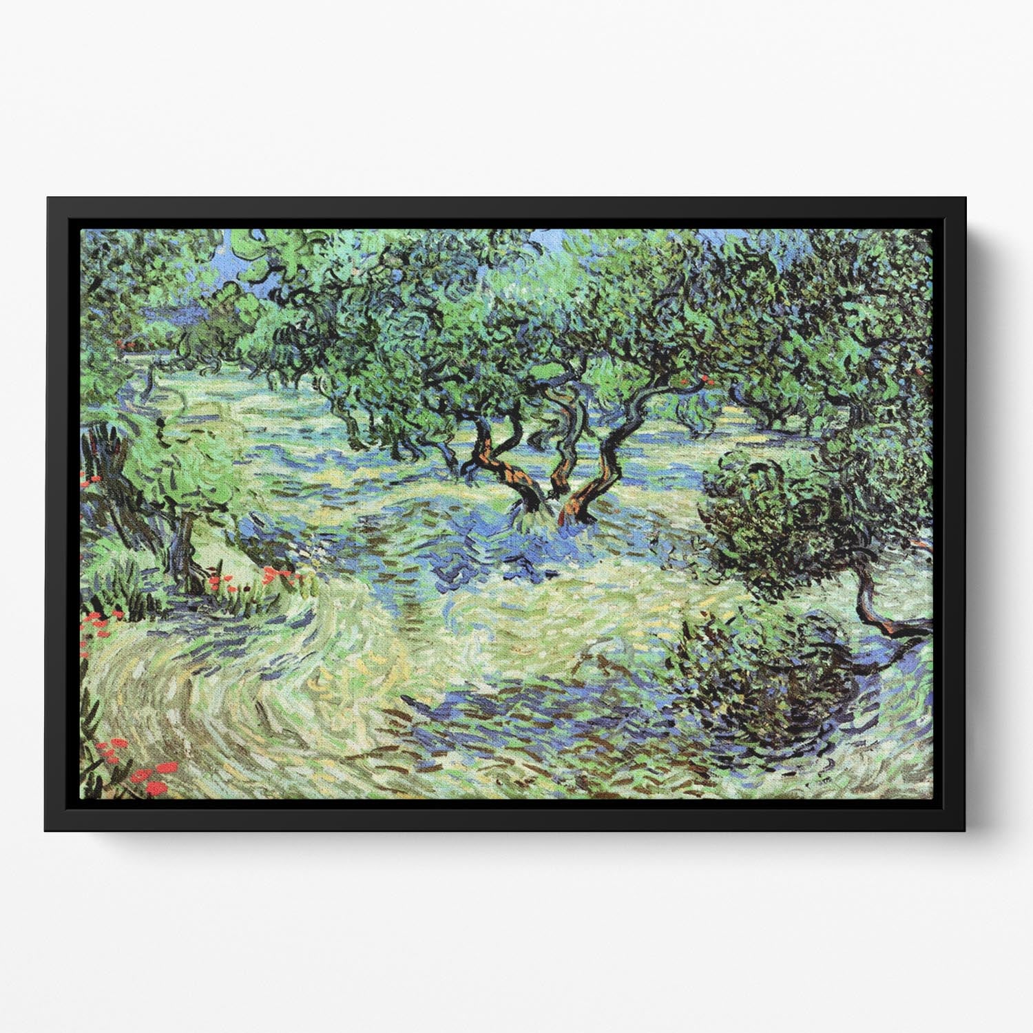 Olive Grove by Van Gogh Floating Framed Canvas