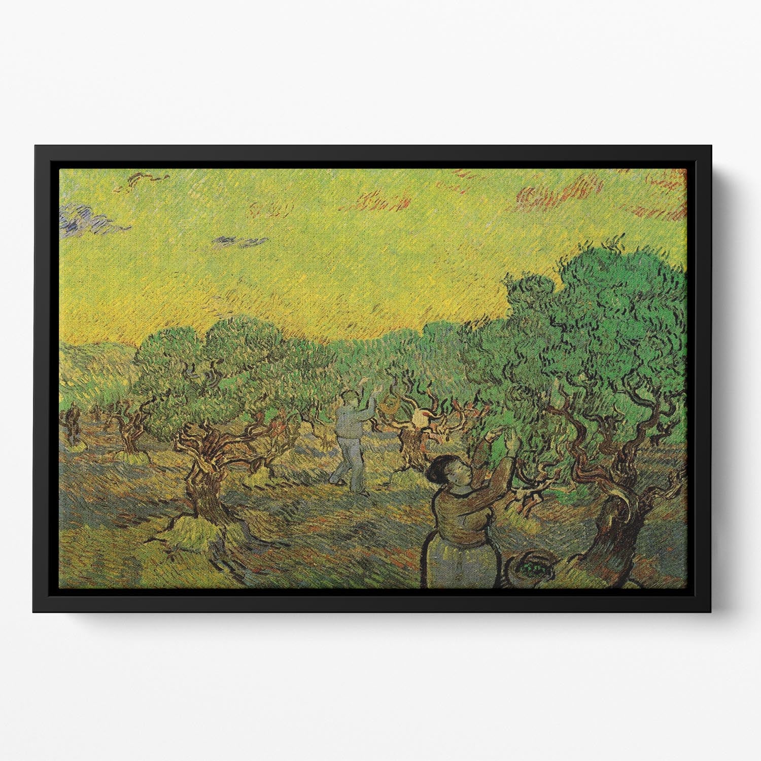 Olive Grove with Picking Figures by Van Gogh Floating Framed Canvas